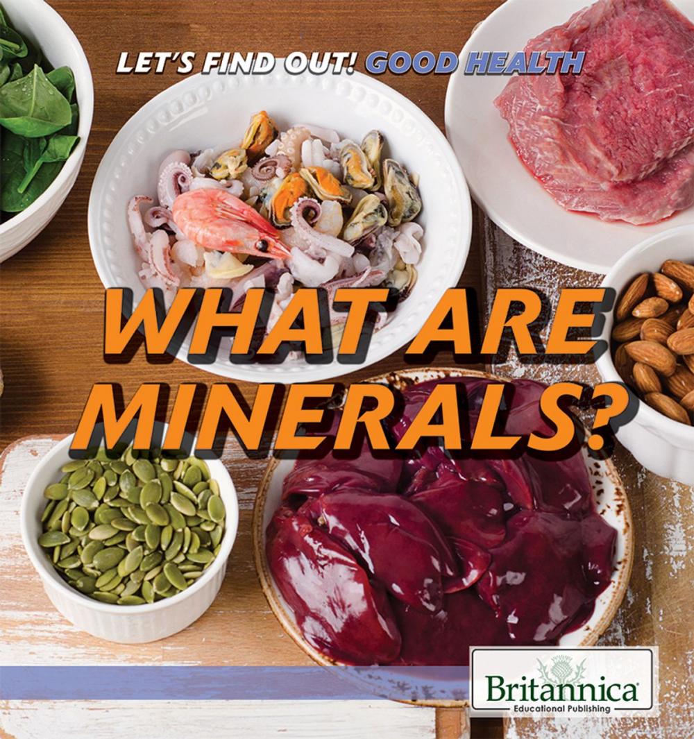 Big bigCover of What Are Minerals?