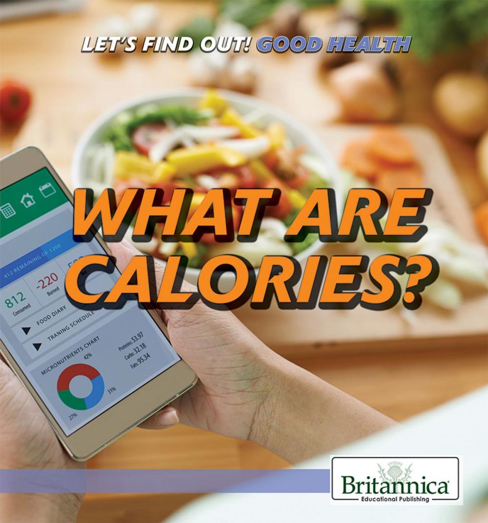 Big bigCover of What Are Calories?