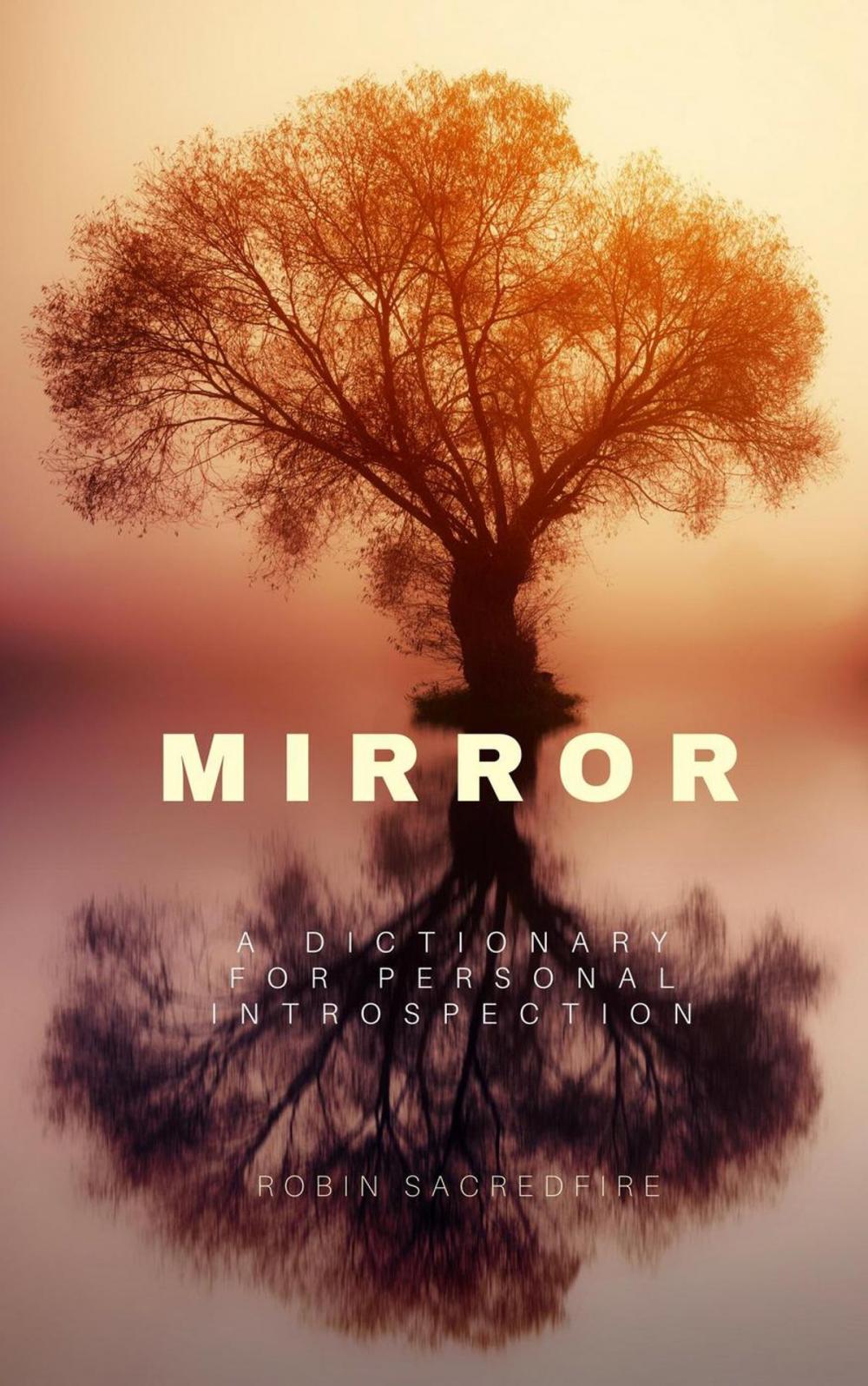 Big bigCover of Mirror: A Dictionary for Personal Introspection