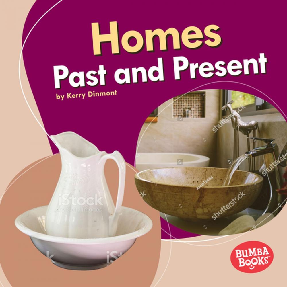 Big bigCover of Homes Past and Present