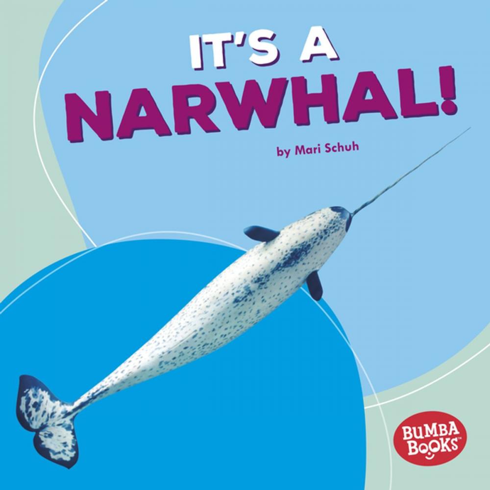 Big bigCover of It's a Narwhal!