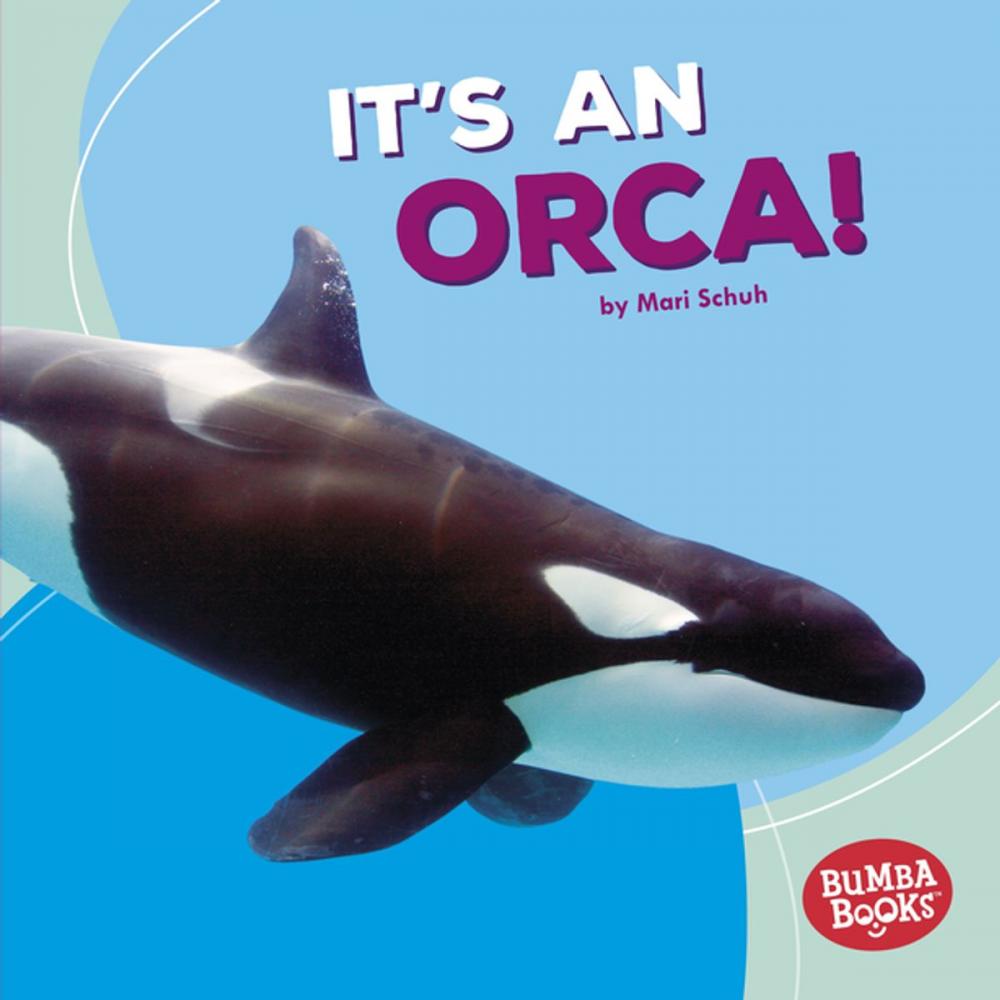 Big bigCover of It's an Orca!