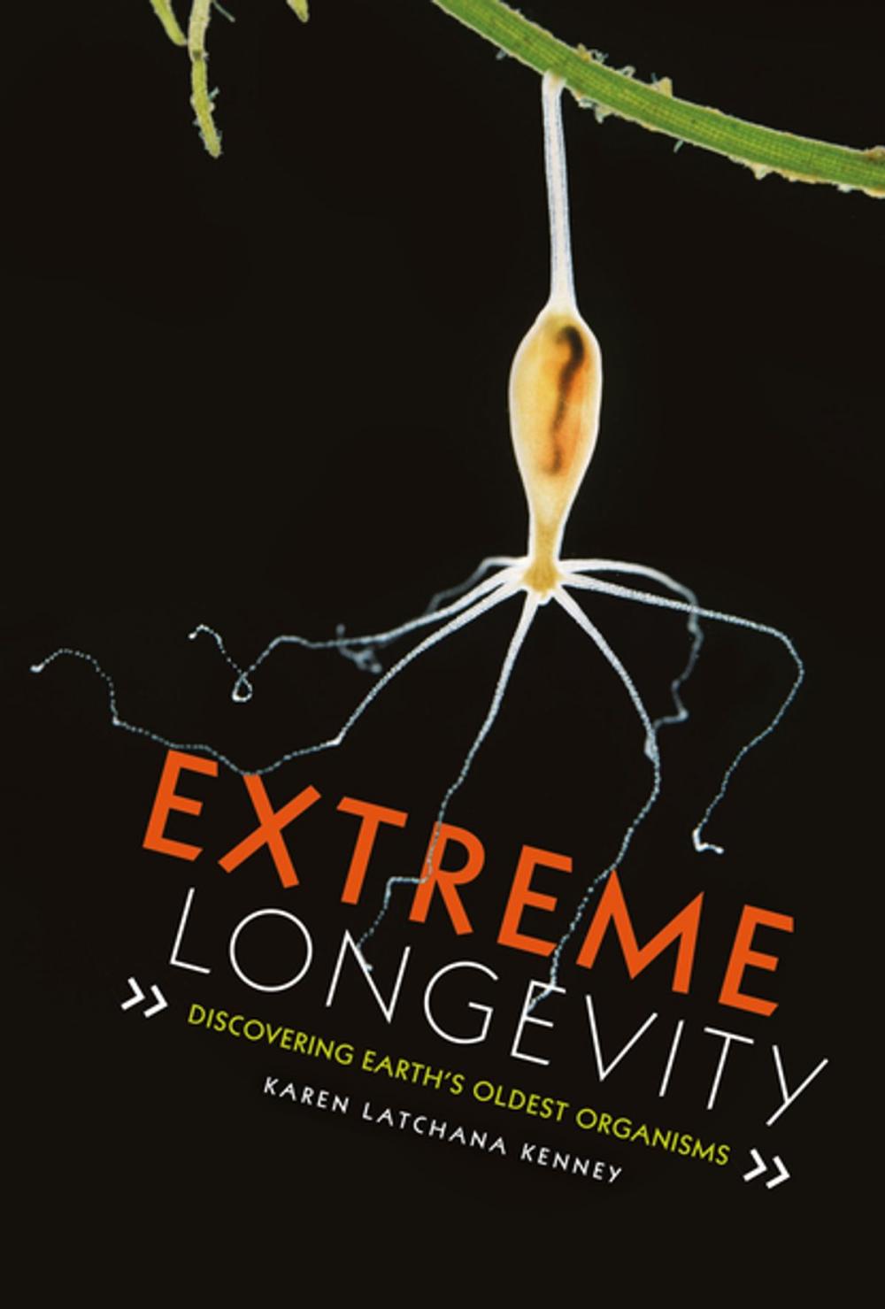 Big bigCover of Extreme Longevity