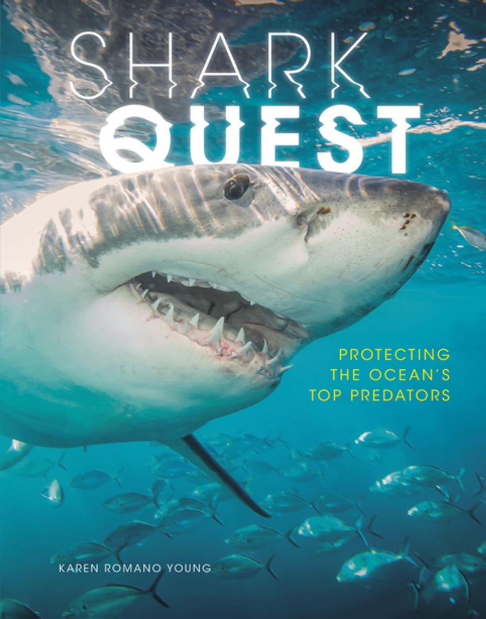 Big bigCover of Shark Quest