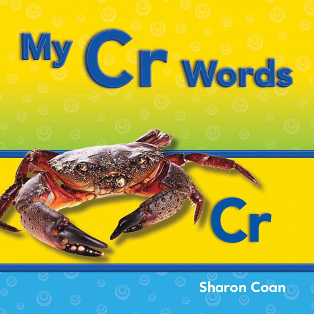 Big bigCover of My Cr Words