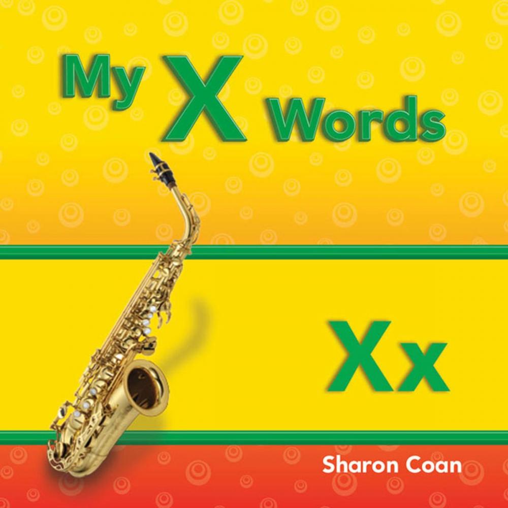 Big bigCover of My X Words