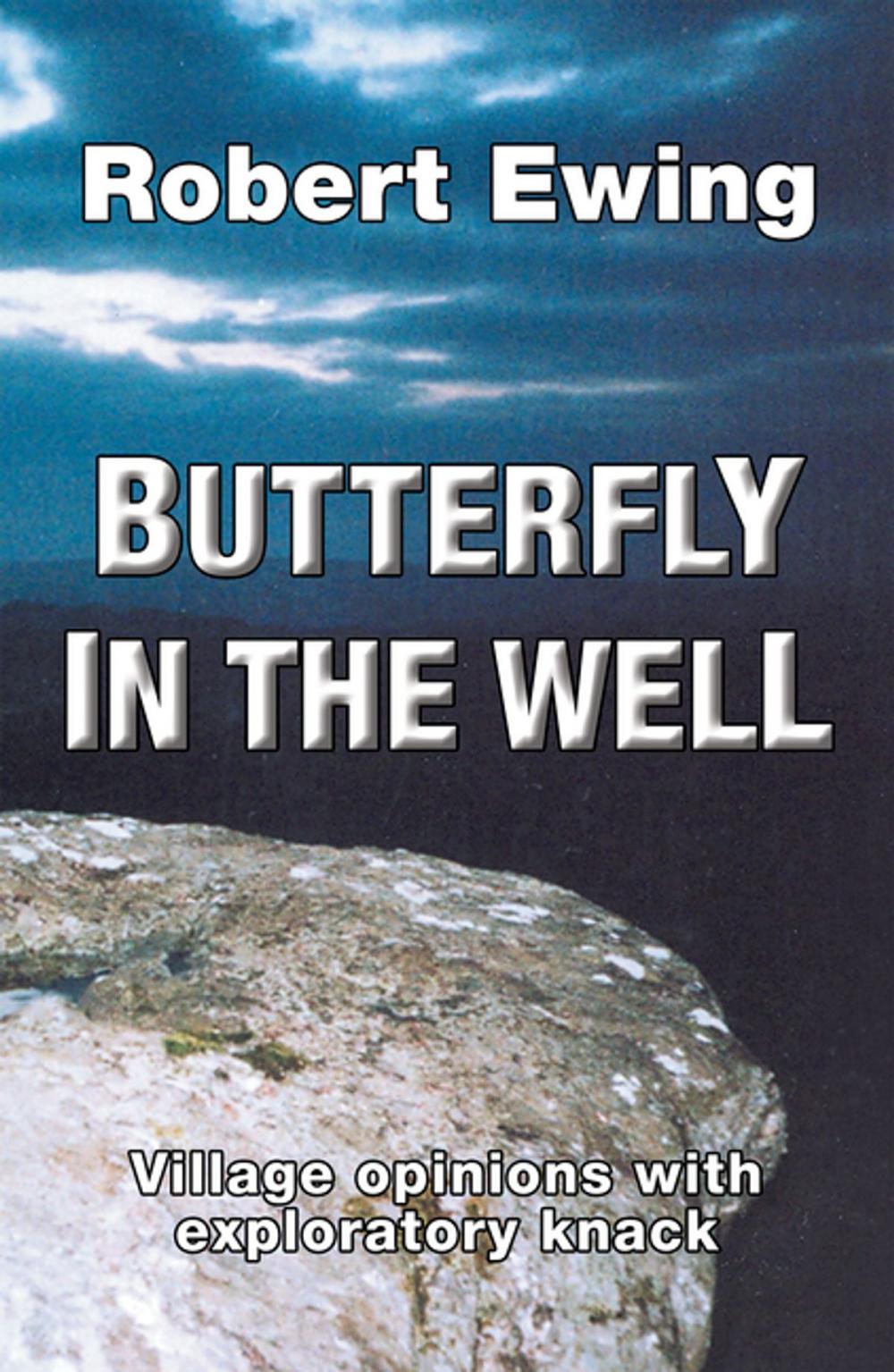 Big bigCover of Butterfly in the Well