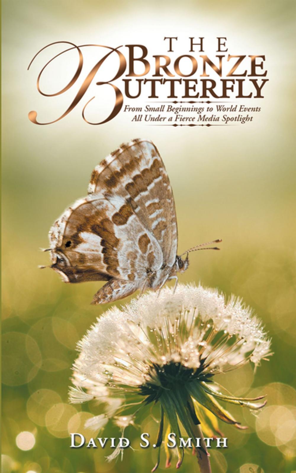 Big bigCover of The Bronze Butterfly