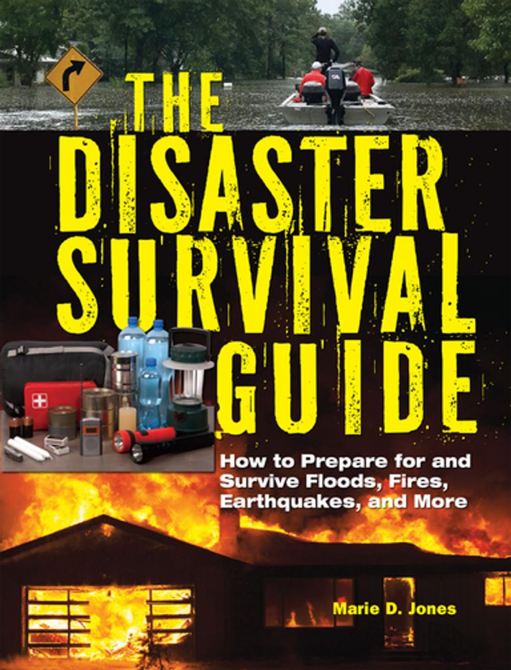 Big bigCover of The Disaster Survival Guide