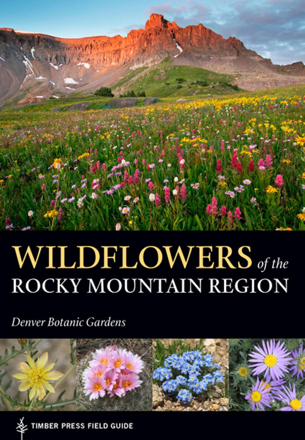 Big bigCover of Wildflowers of the Rocky Mountain Region