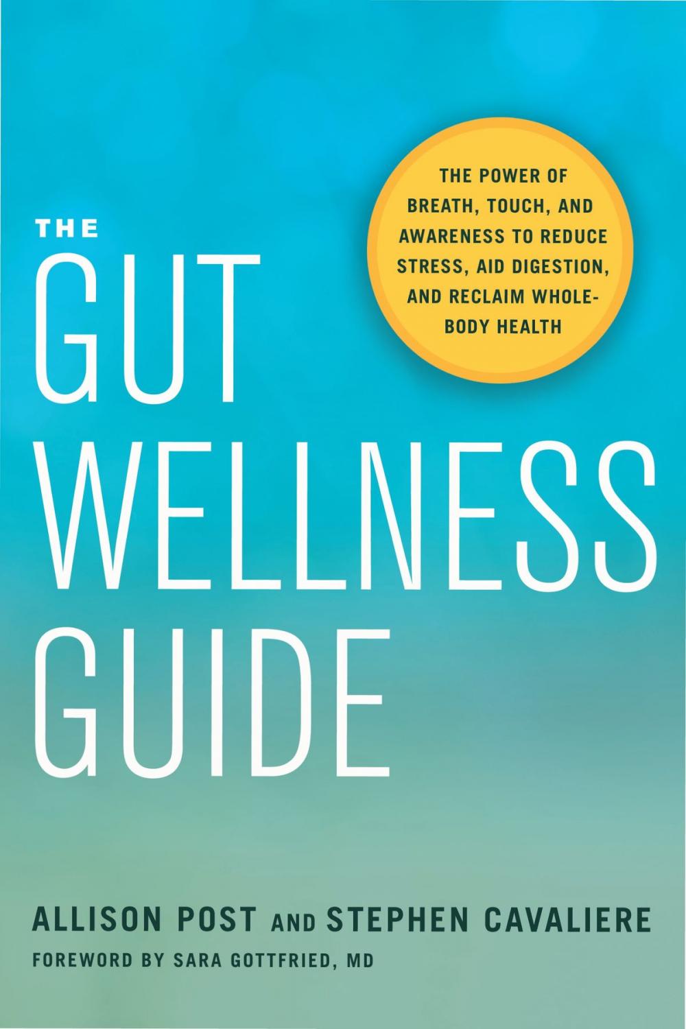 Big bigCover of The Gut Wellness Guide