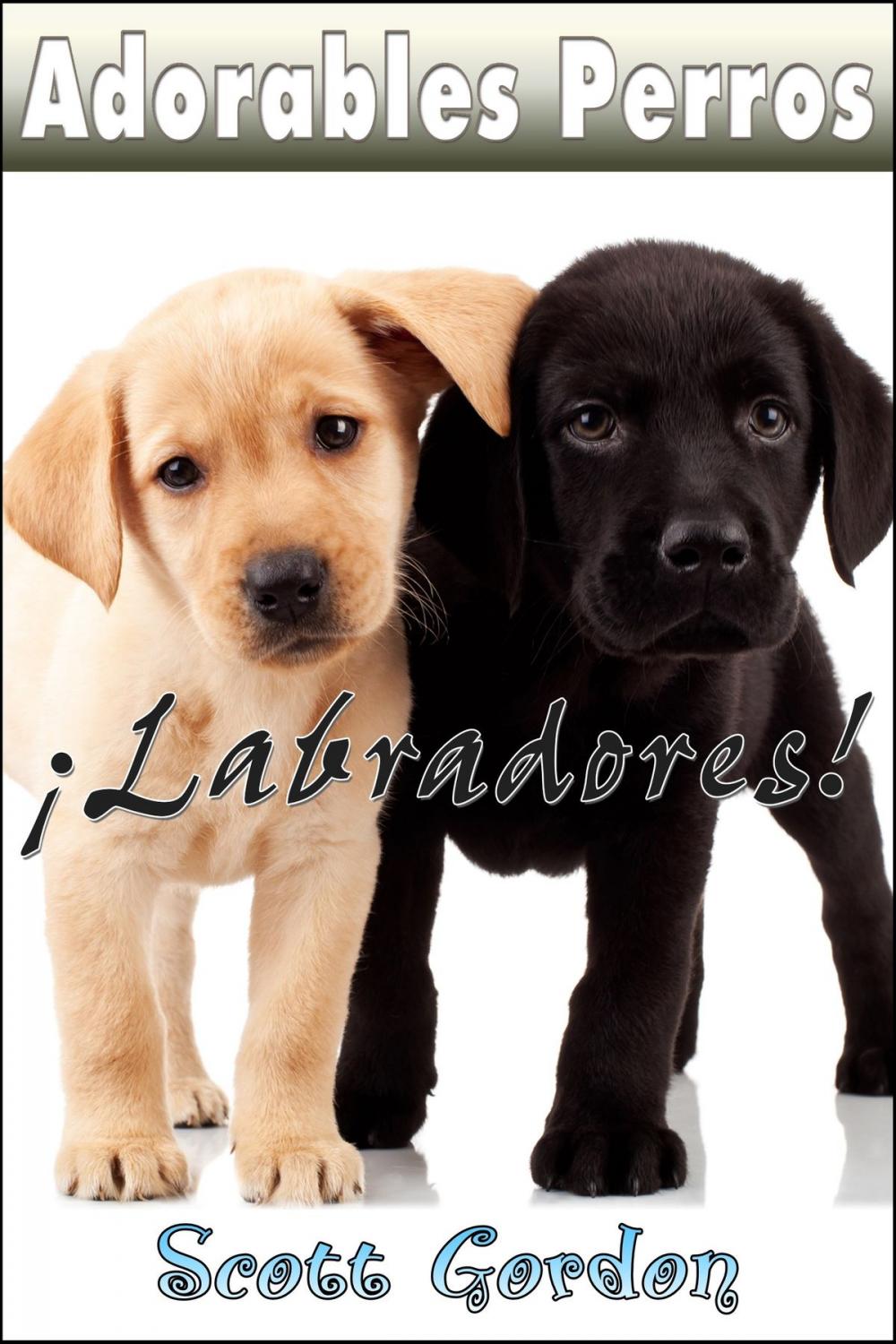 Big bigCover of Adorables Perros ¡Los Labradores!