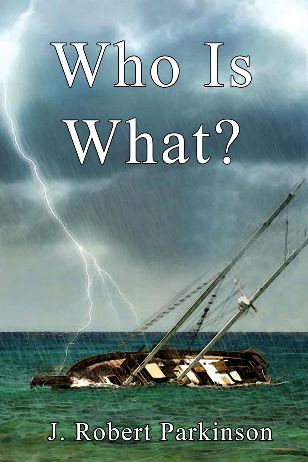 Big bigCover of Who Is What?