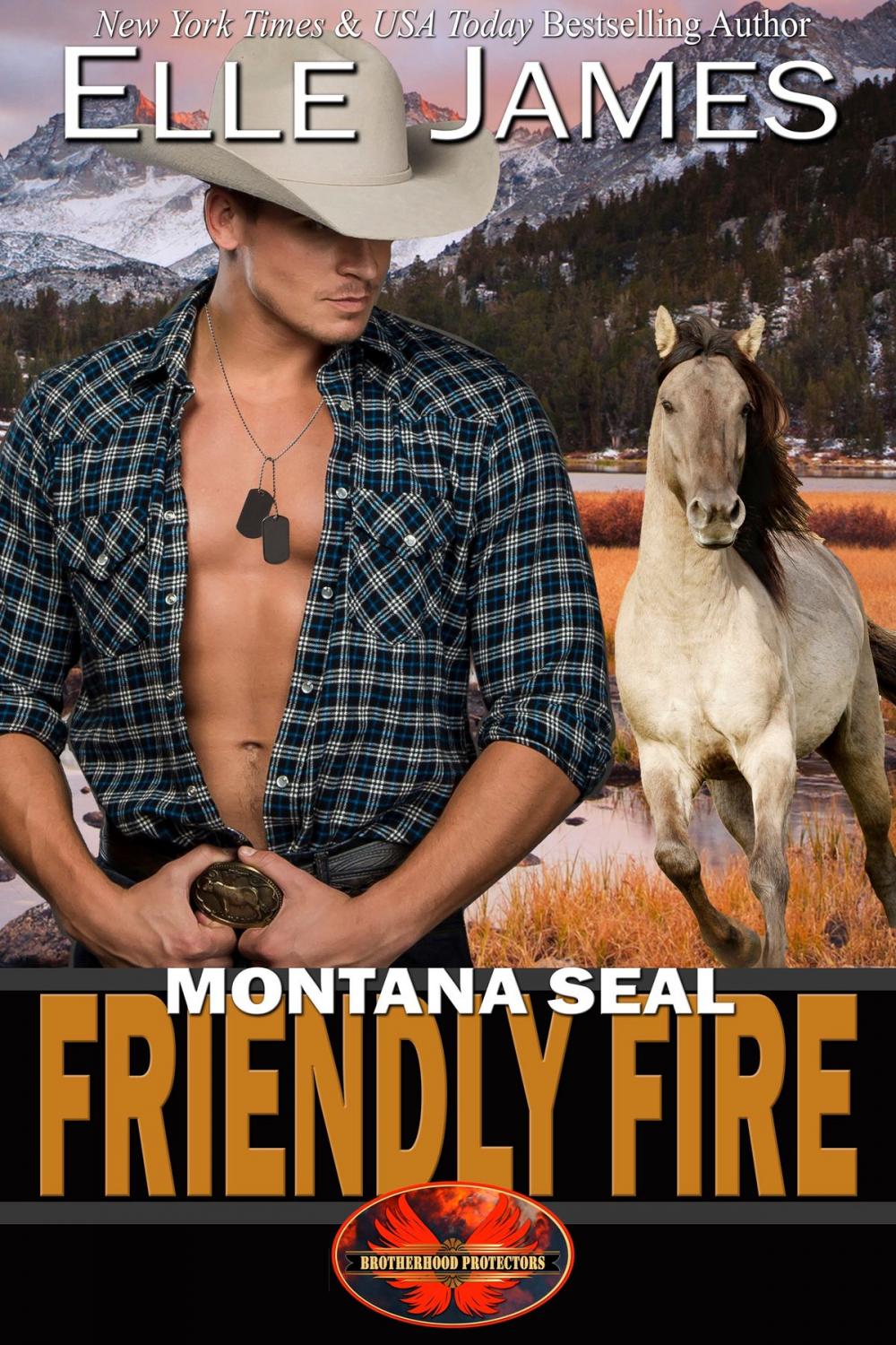 Big bigCover of Montana SEAL Friendly Fire