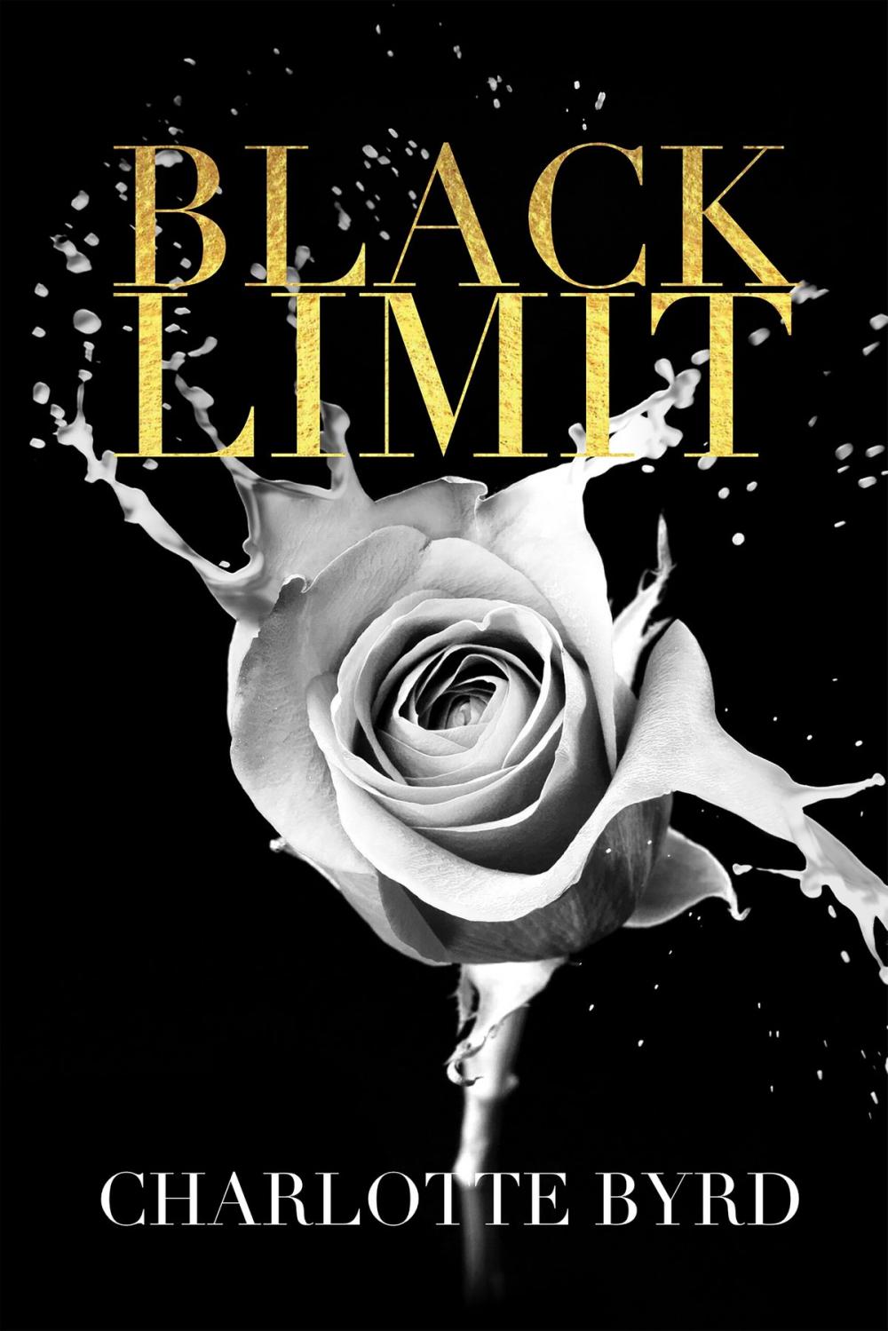 Big bigCover of Black Limit