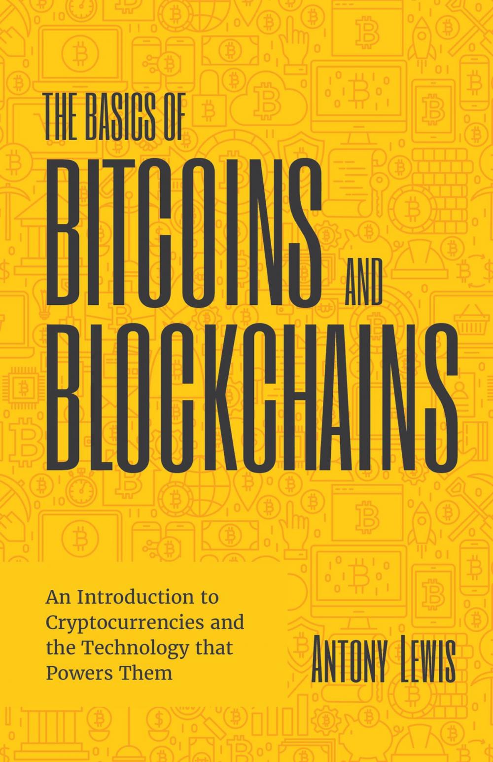 Big bigCover of The Basics of Bitcoins and Blockchains