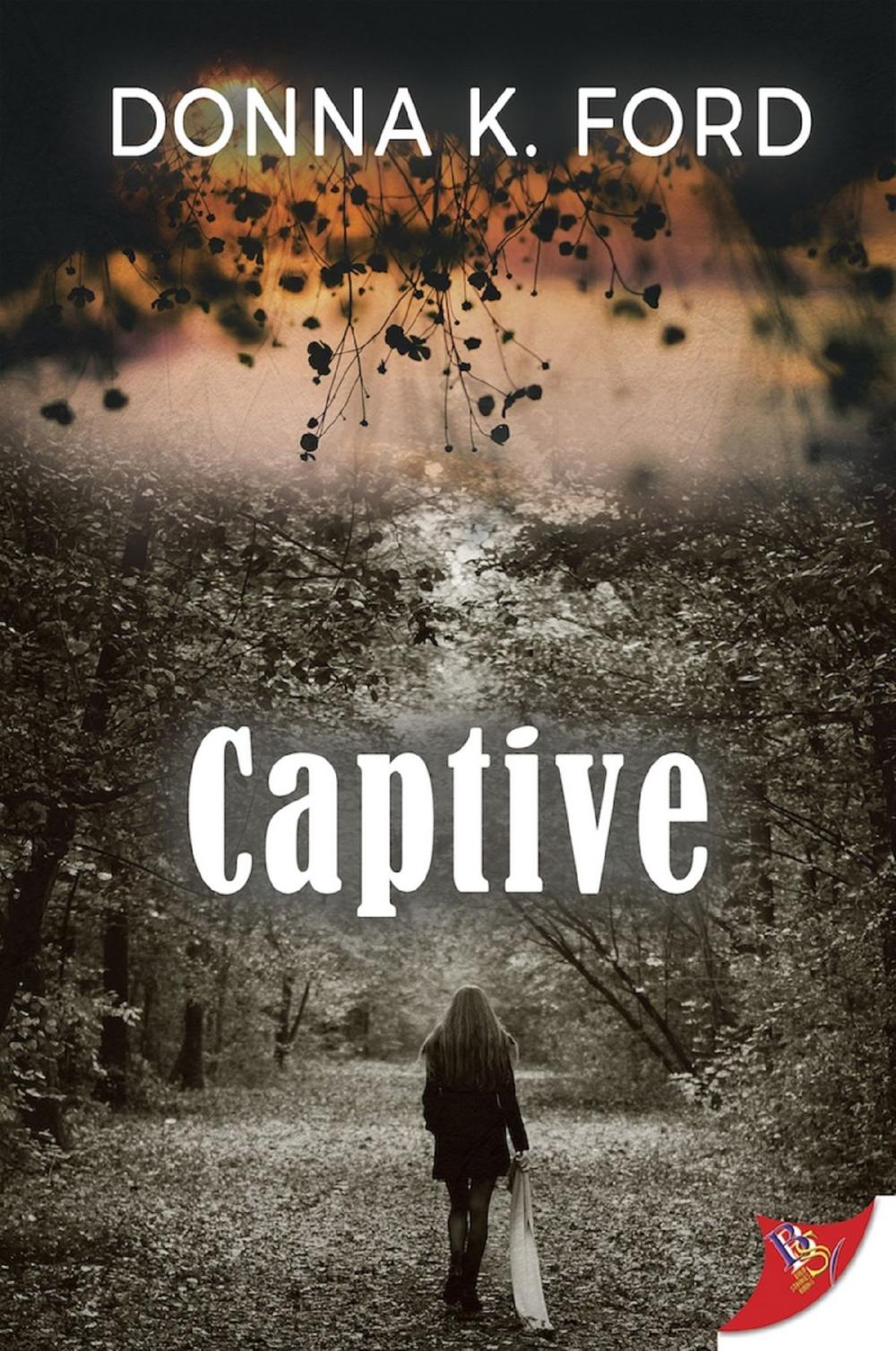 Big bigCover of Captive