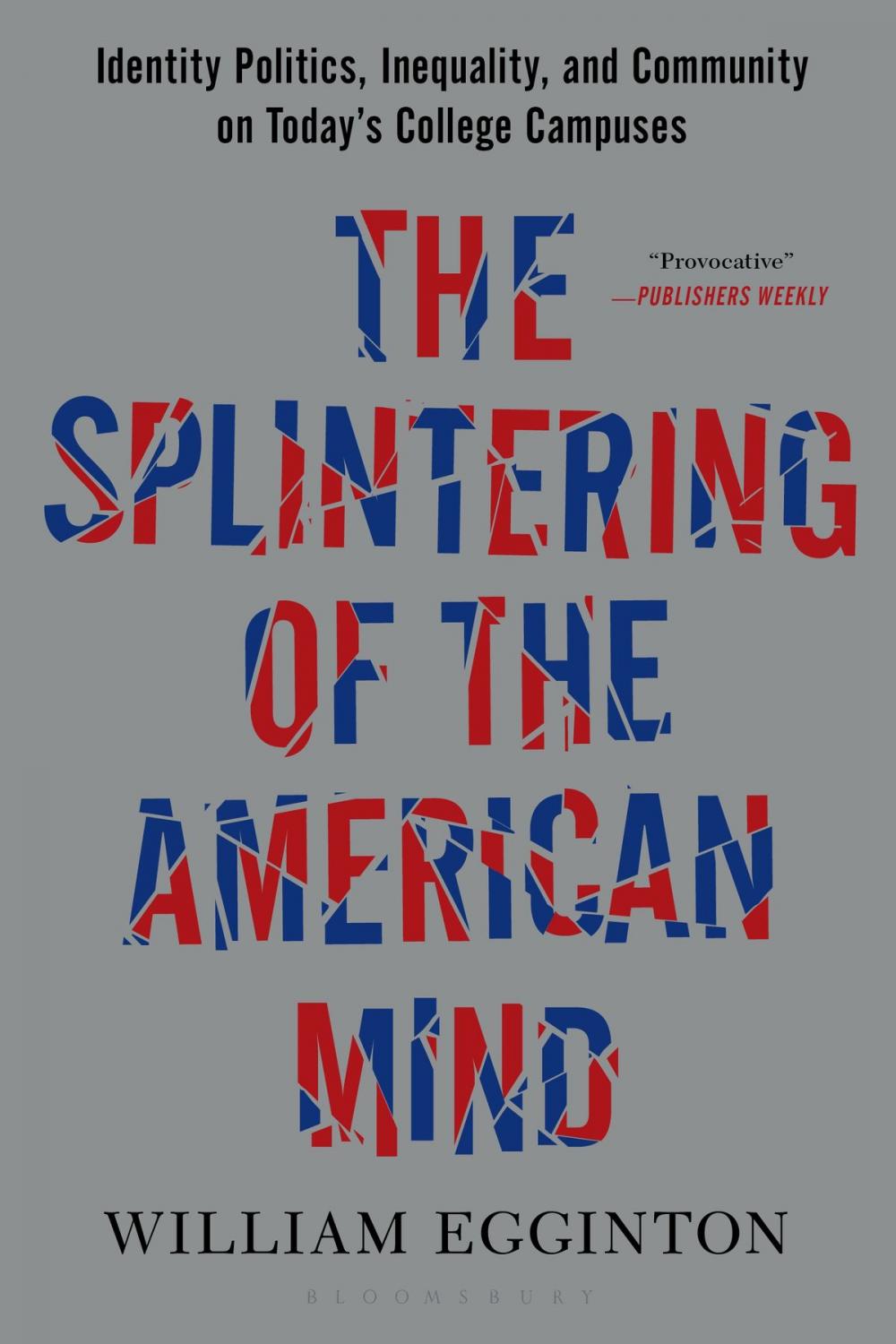 Big bigCover of The Splintering of the American Mind