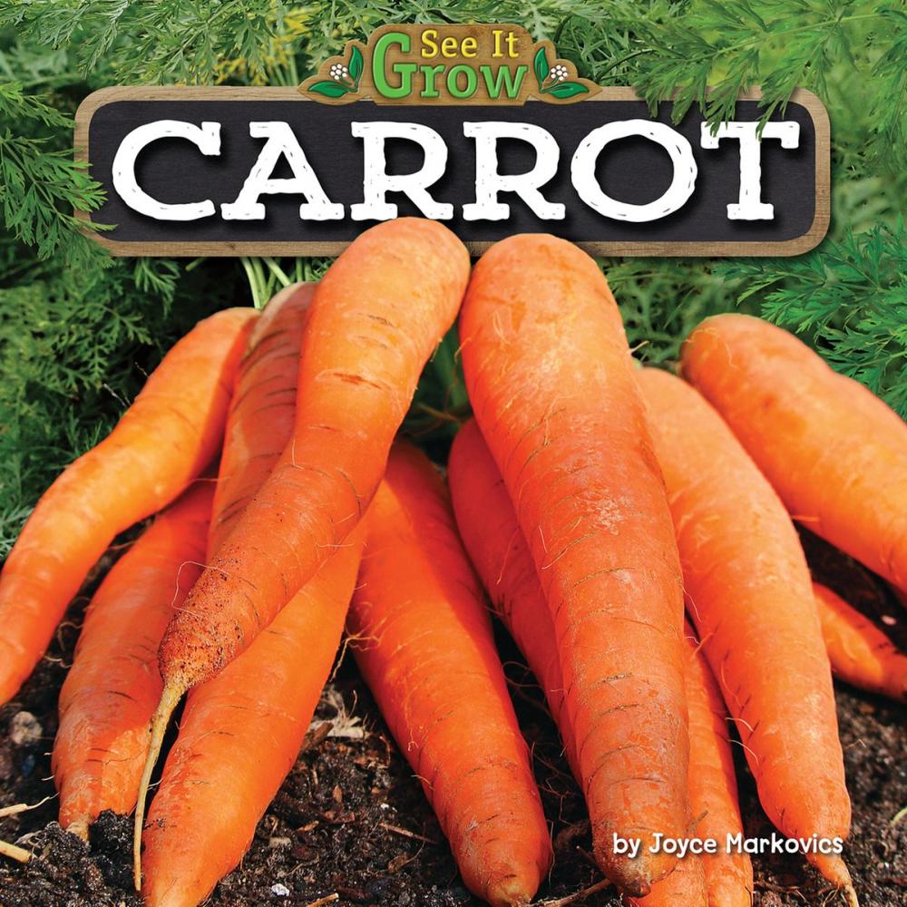 Big bigCover of Carrot