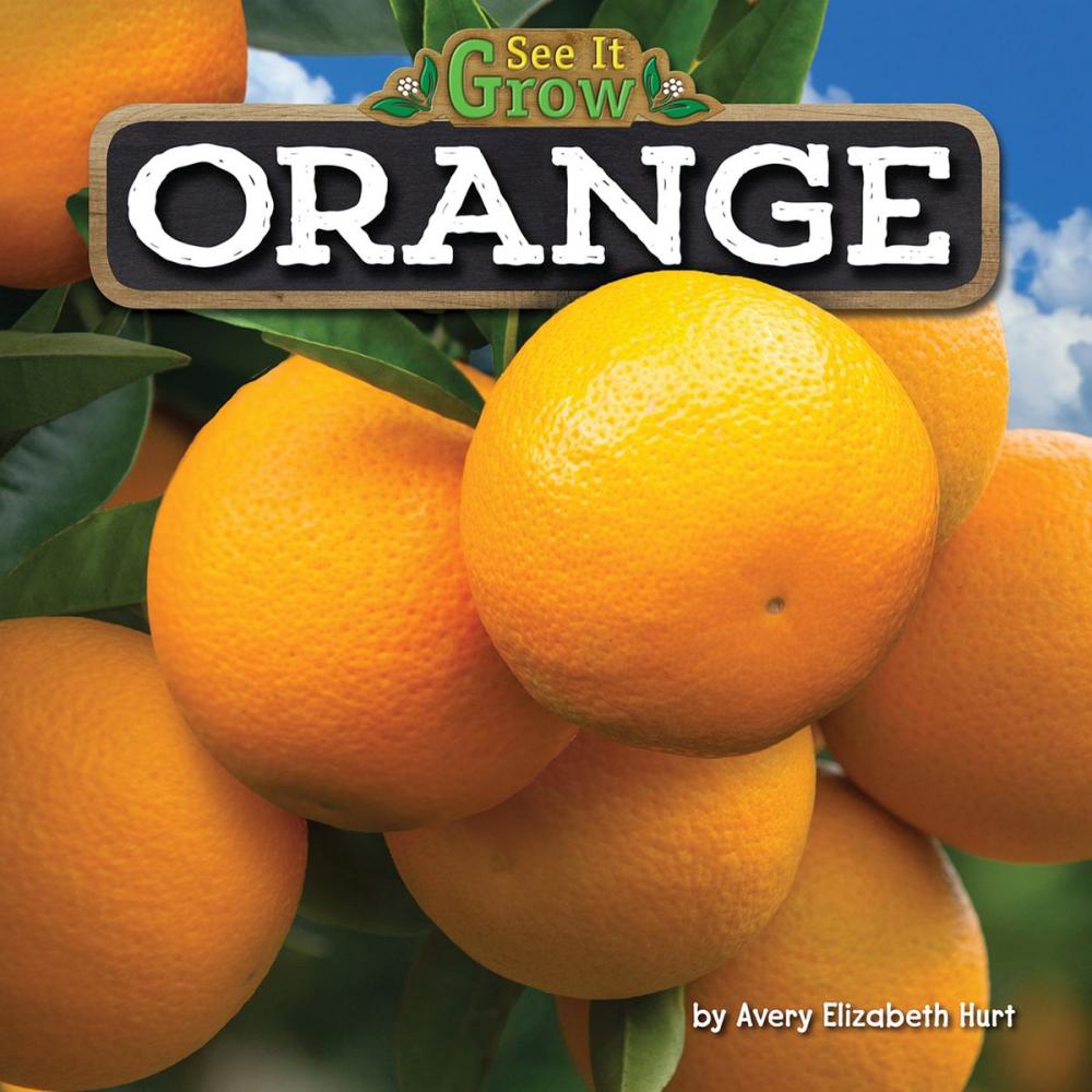 Big bigCover of Orange