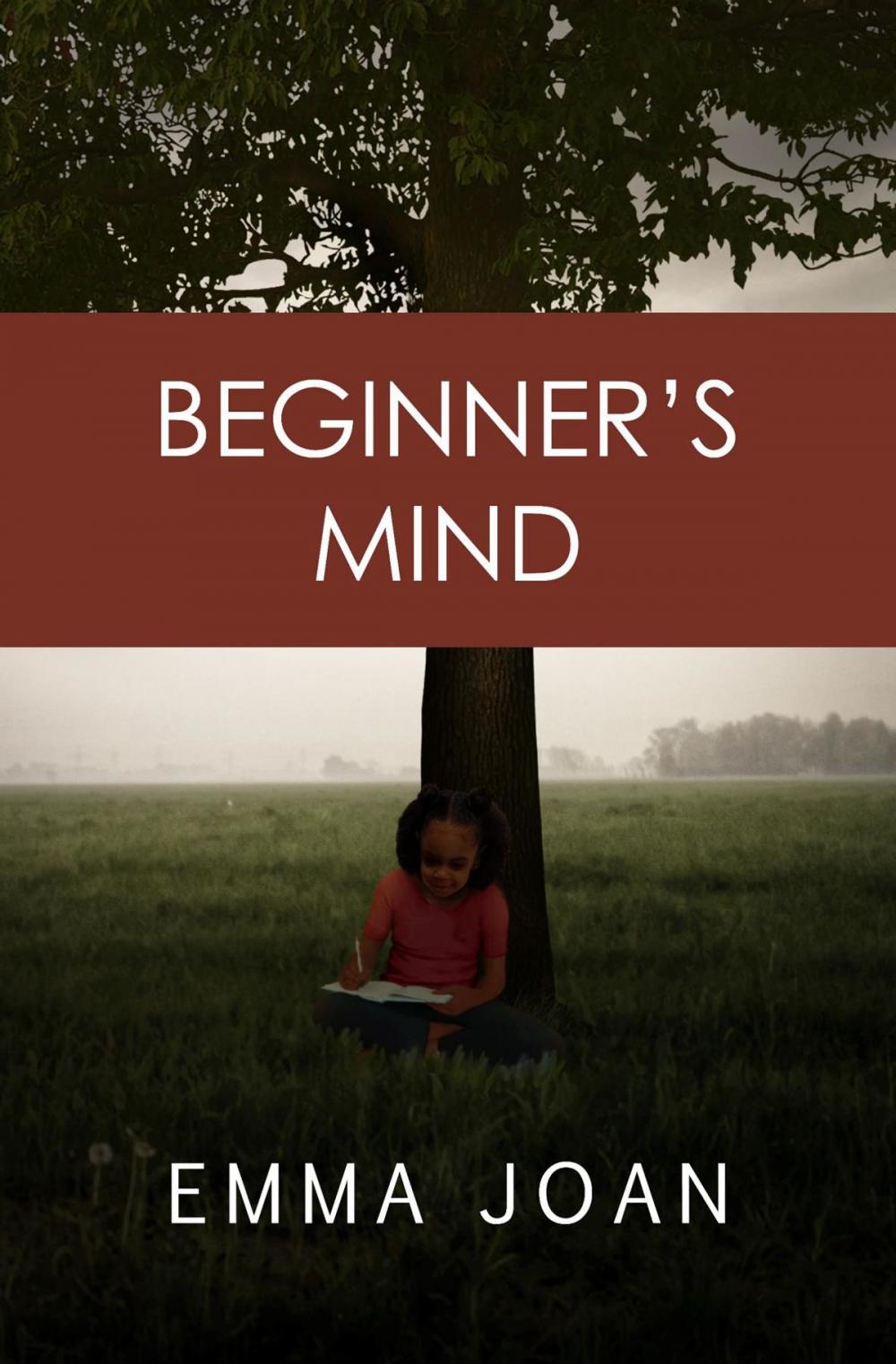 Big bigCover of Beginner's Mind