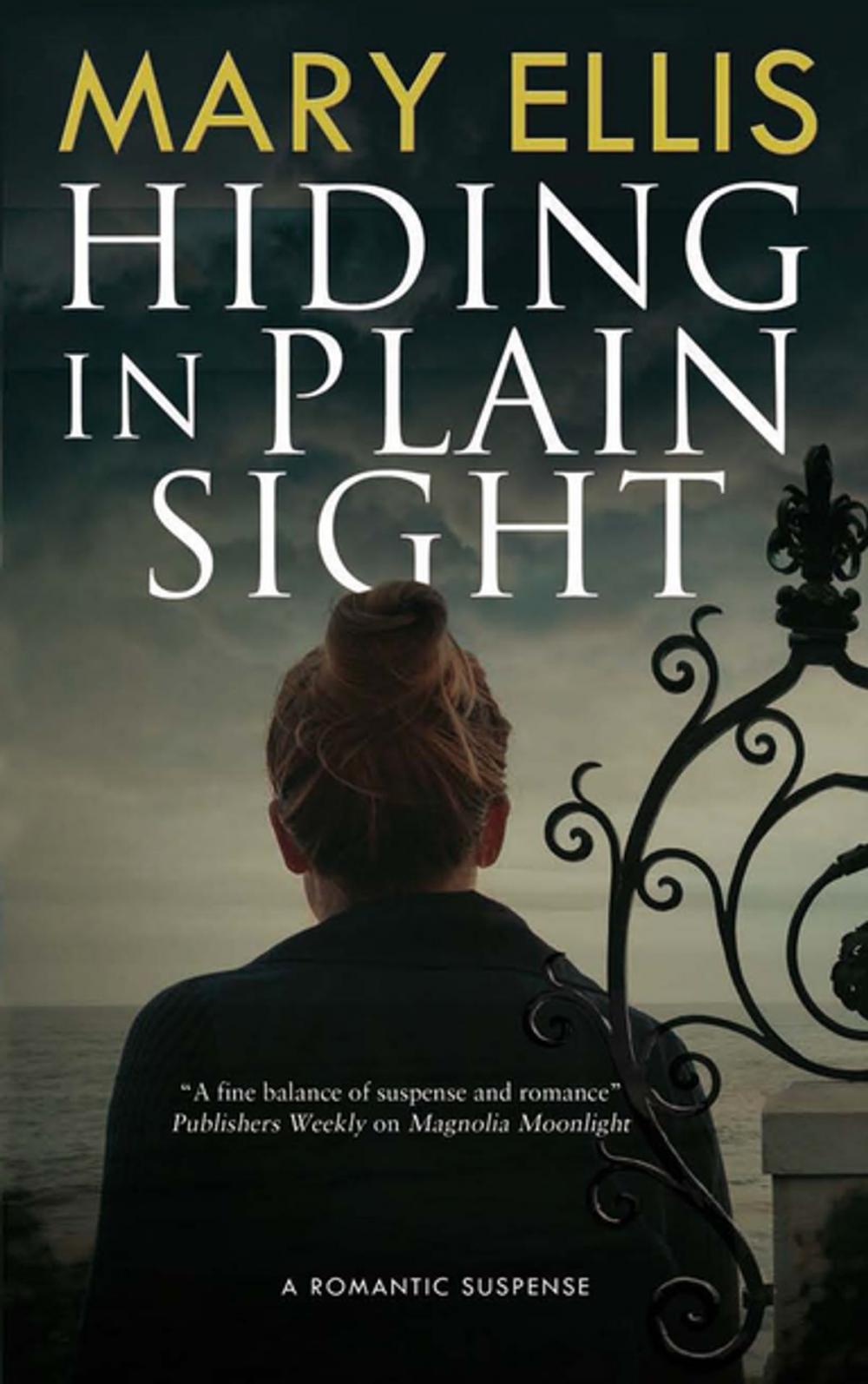 Big bigCover of Hiding in Plain Sight