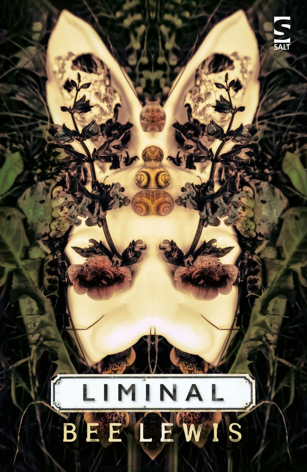 Big bigCover of Liminal