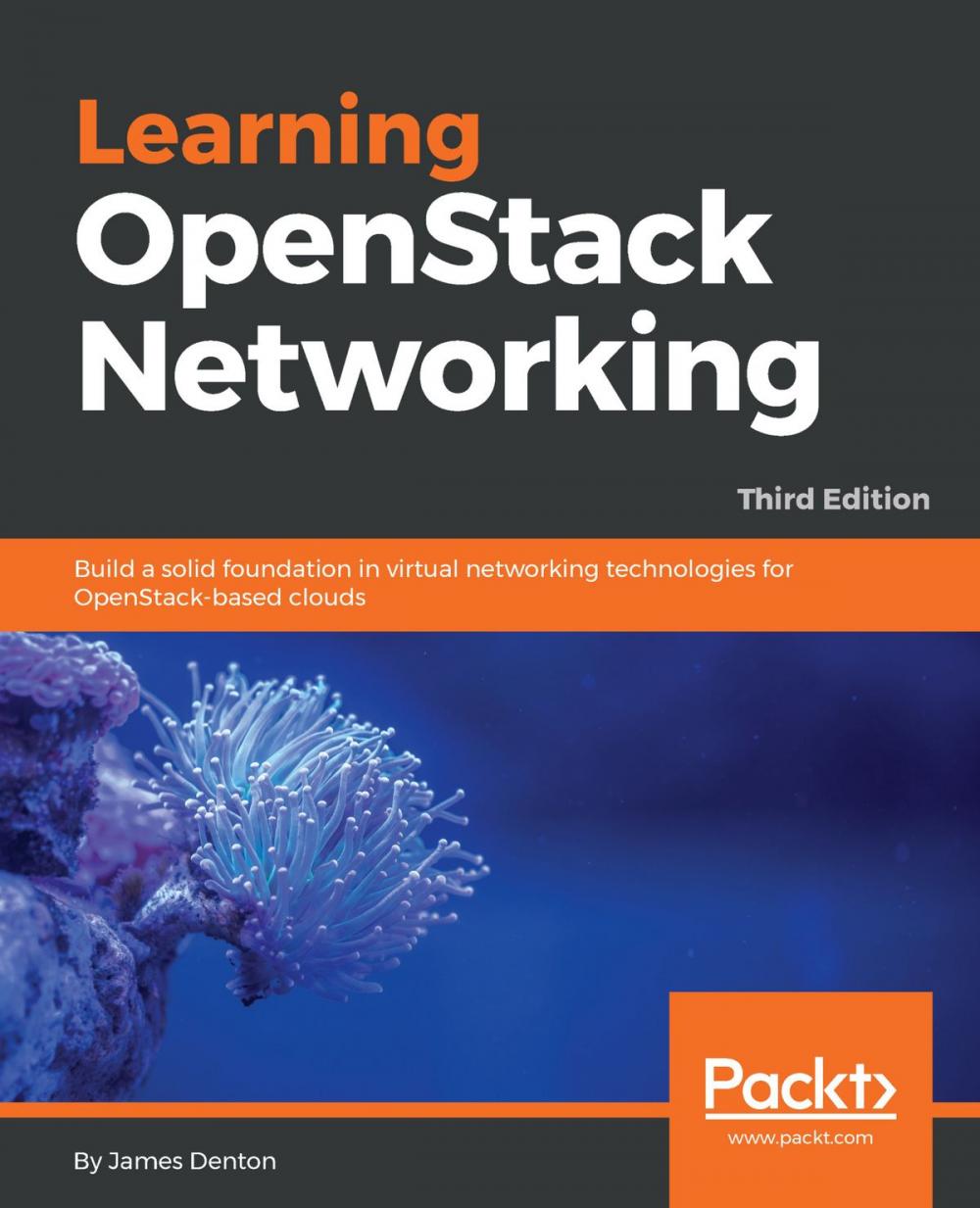 Big bigCover of Learning OpenStack Networking