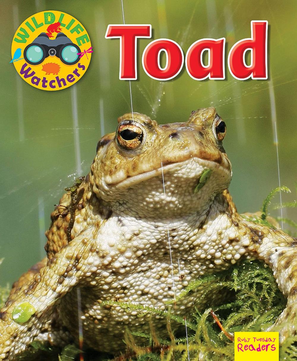 Big bigCover of Toad