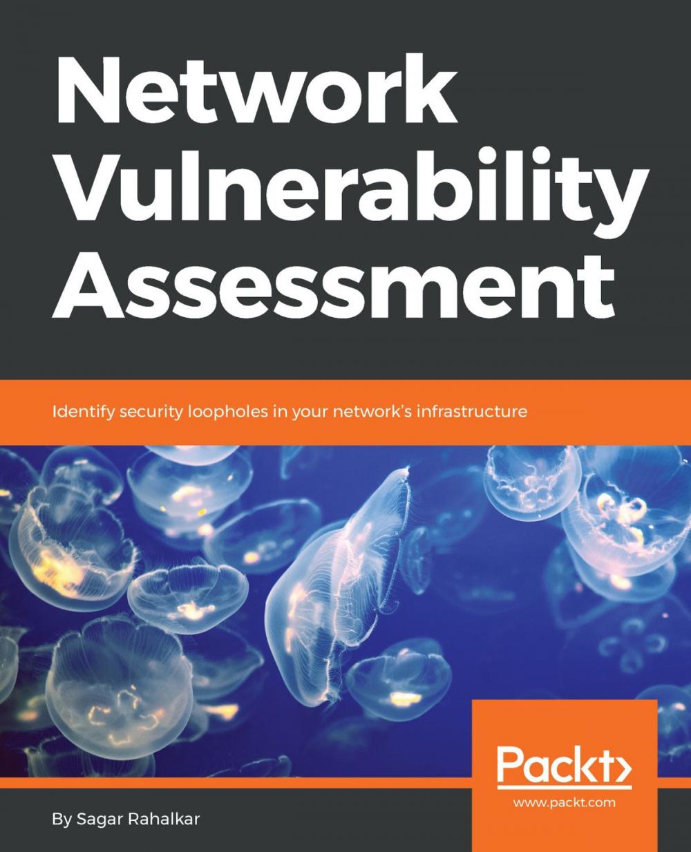 Big bigCover of Network Vulnerability Assessment