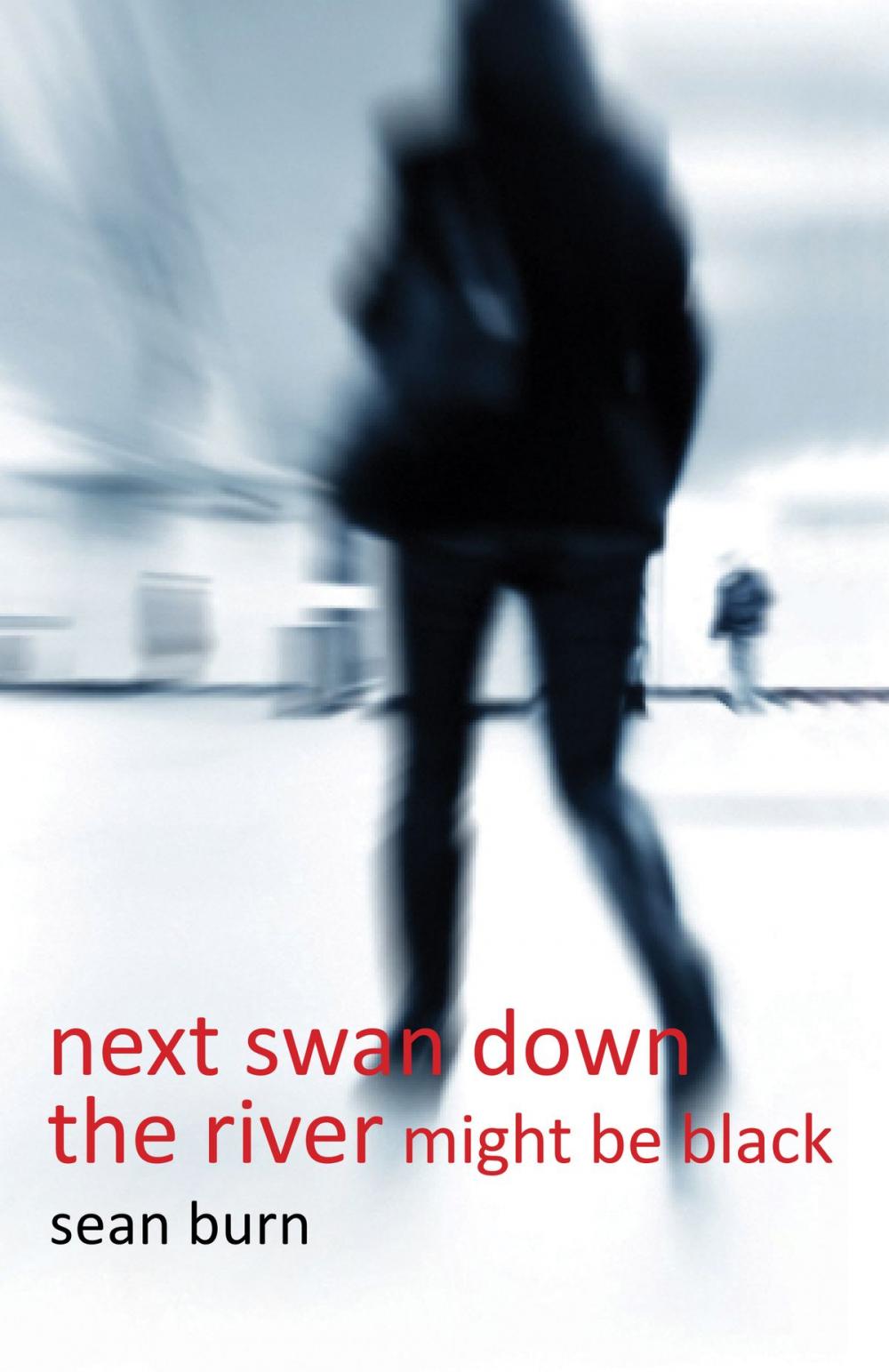 Big bigCover of Next Swan Down the River Might be Black