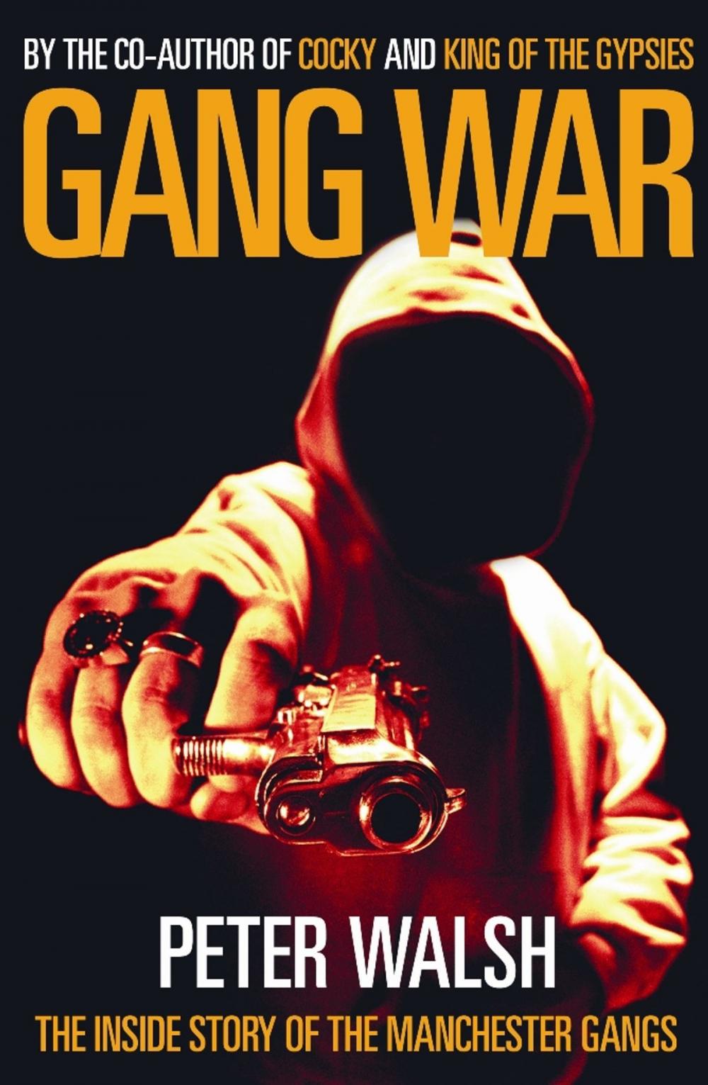 Big bigCover of Gang War