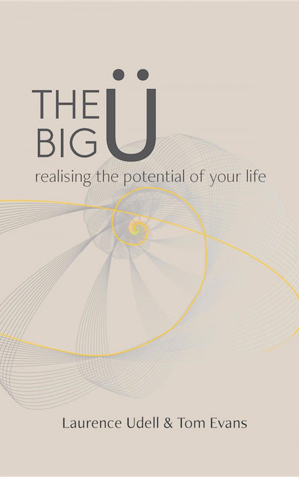 Big bigCover of The Big Ü