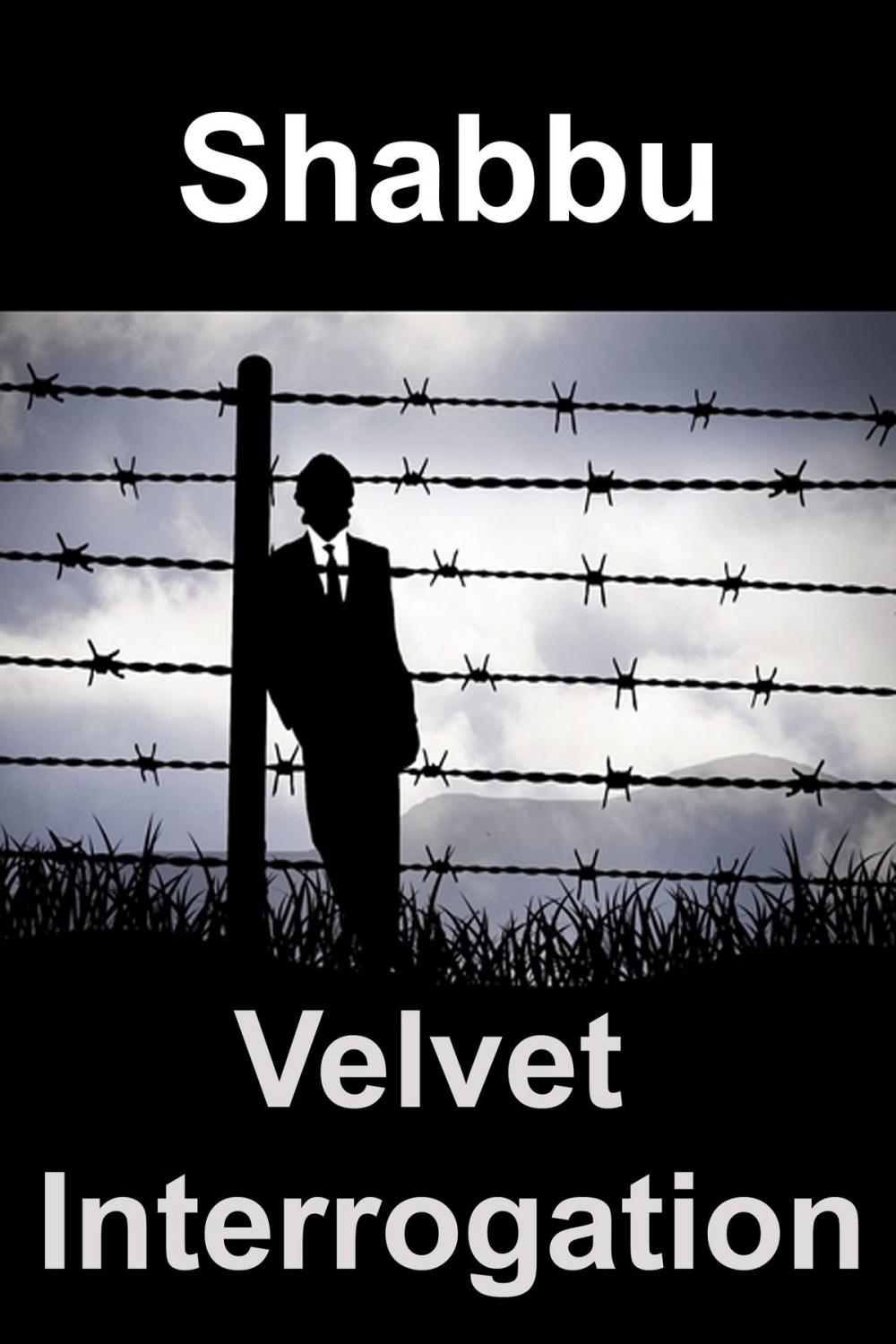 Big bigCover of Velvet Interrogation