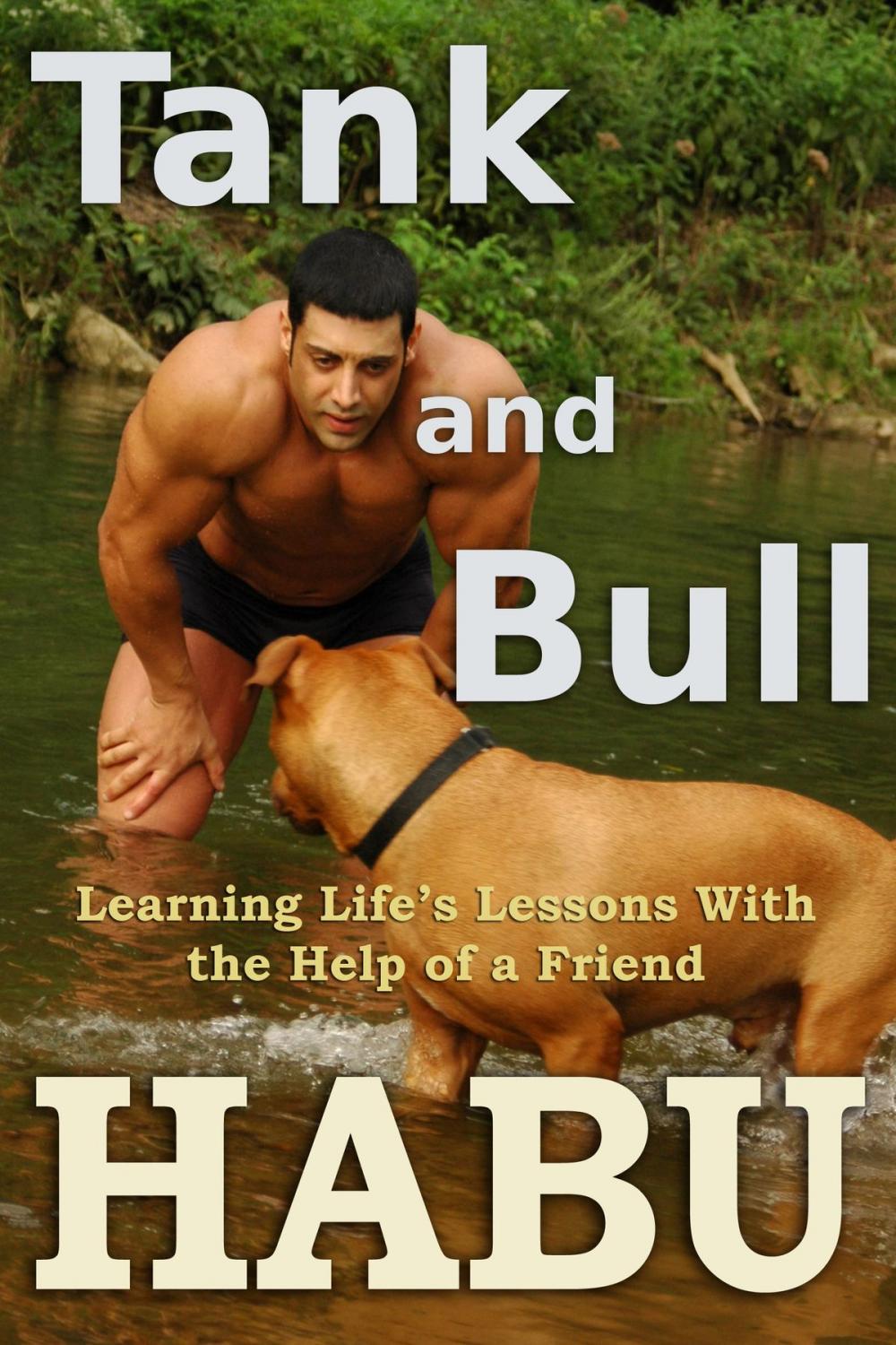 Big bigCover of Tank and Bull