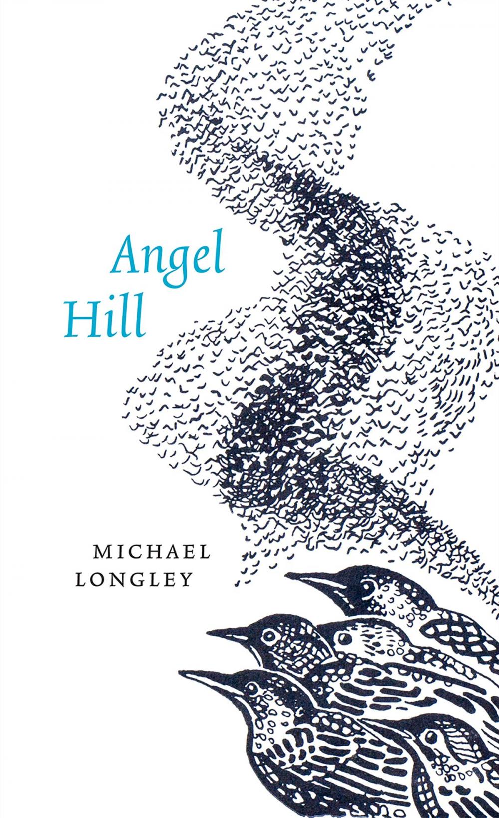 Big bigCover of Angel Hill