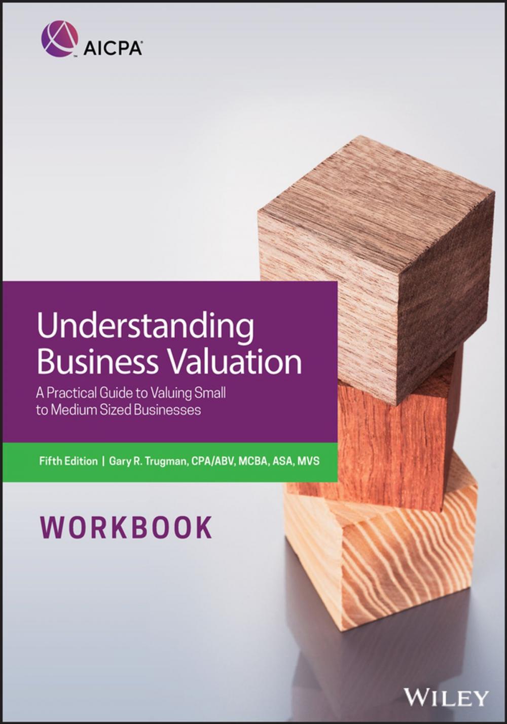 Big bigCover of Understanding Business Valuation Workbook