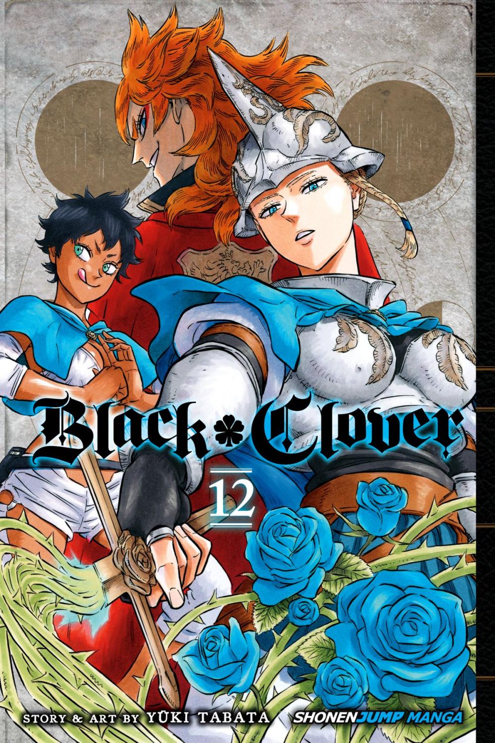 Big bigCover of Black Clover, Vol. 12