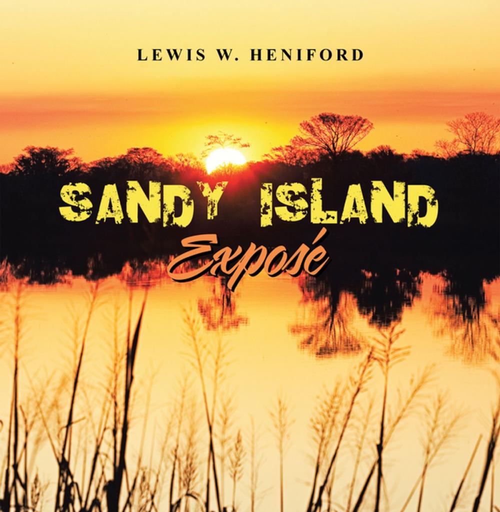 Big bigCover of Sandy Island Exposé