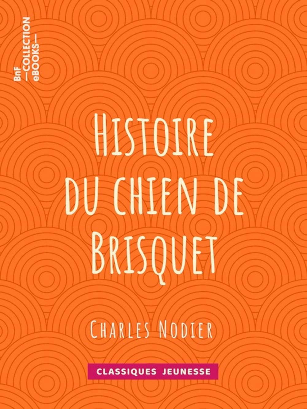 Big bigCover of Histoire du chien de Brisquet