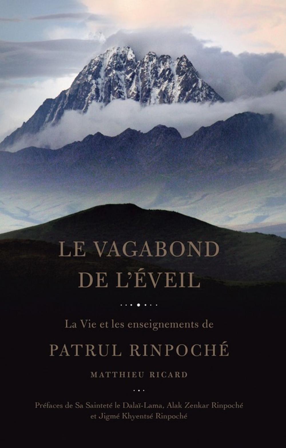 Big bigCover of Le Vagabond de l'Eveil