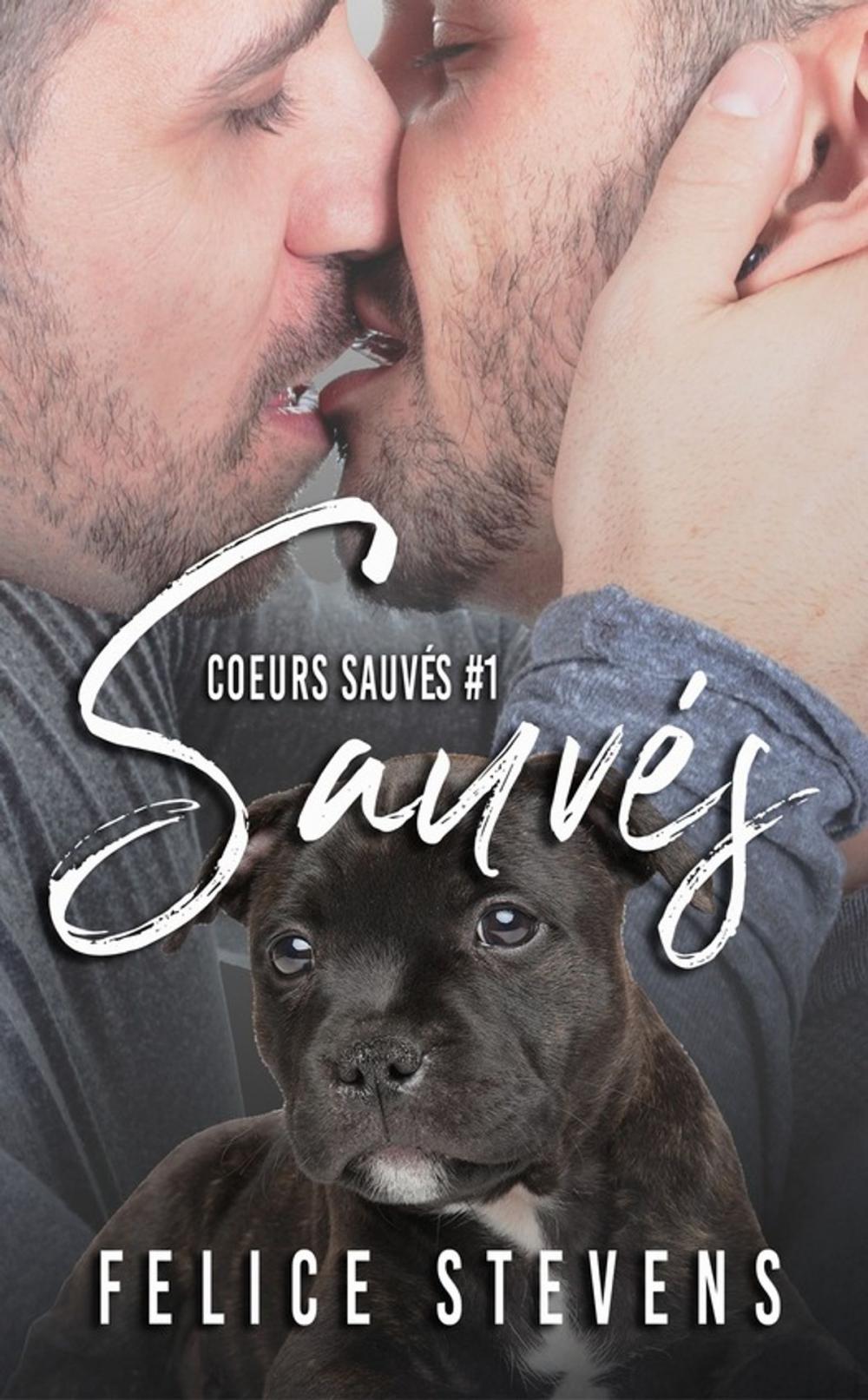 Big bigCover of Sauvés