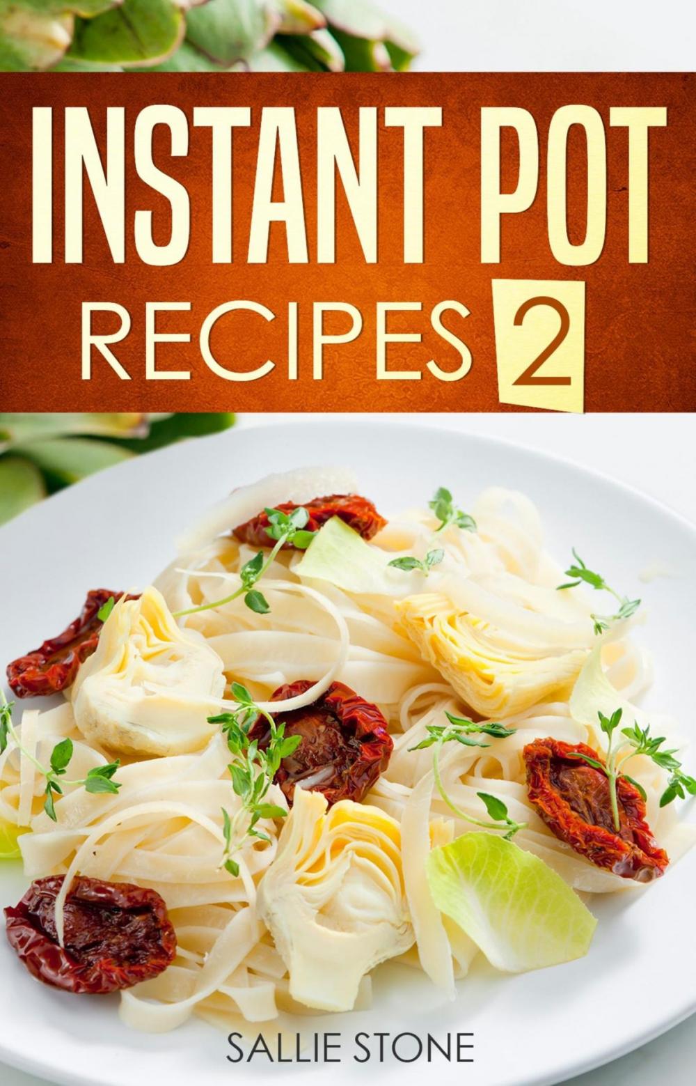 Big bigCover of Instant Pot Recipes 2