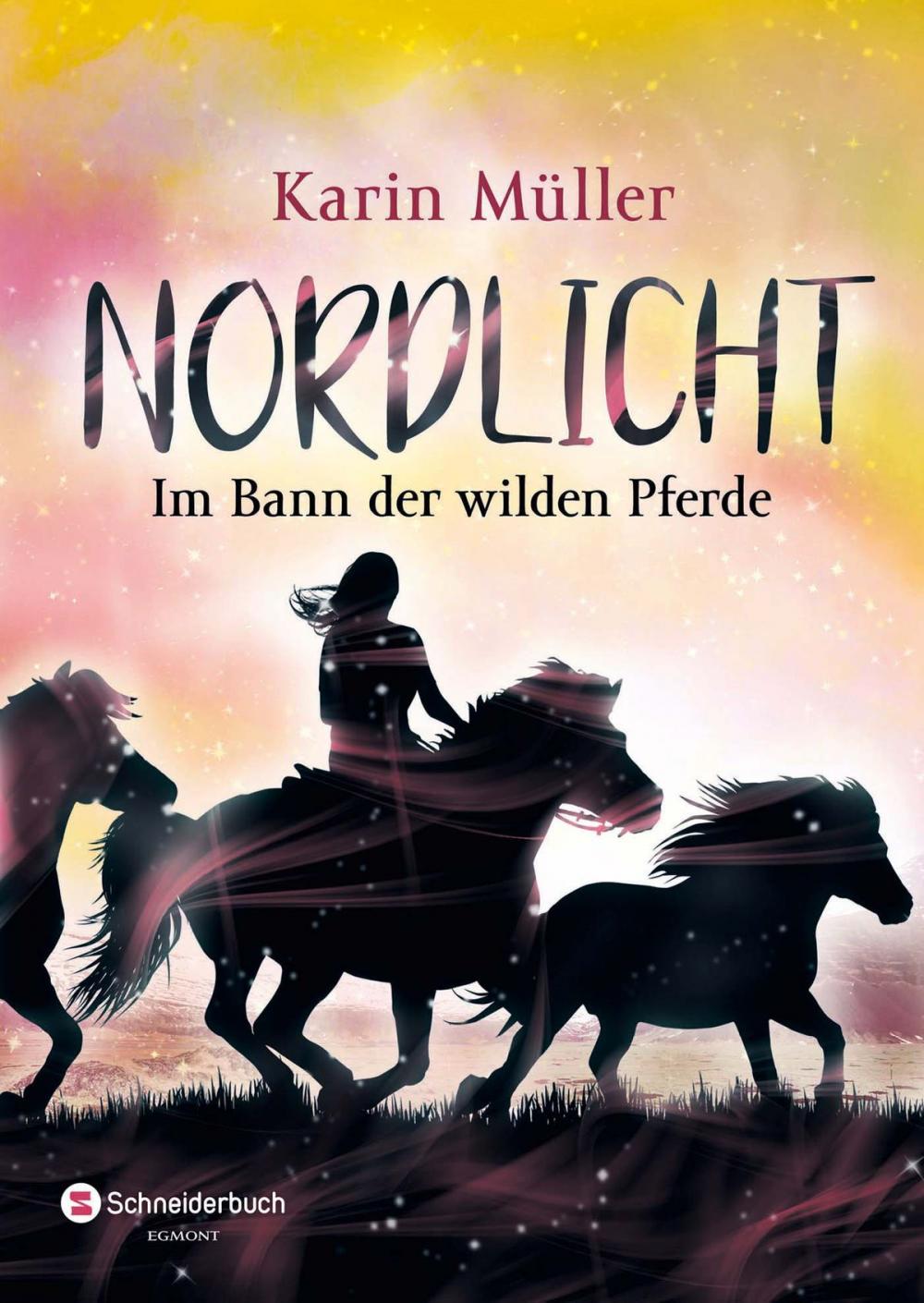 Big bigCover of Nordlicht, Band 02