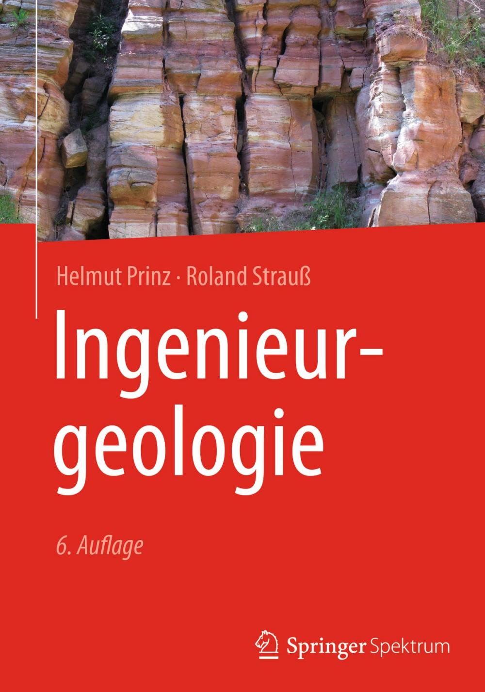 Big bigCover of Ingenieurgeologie