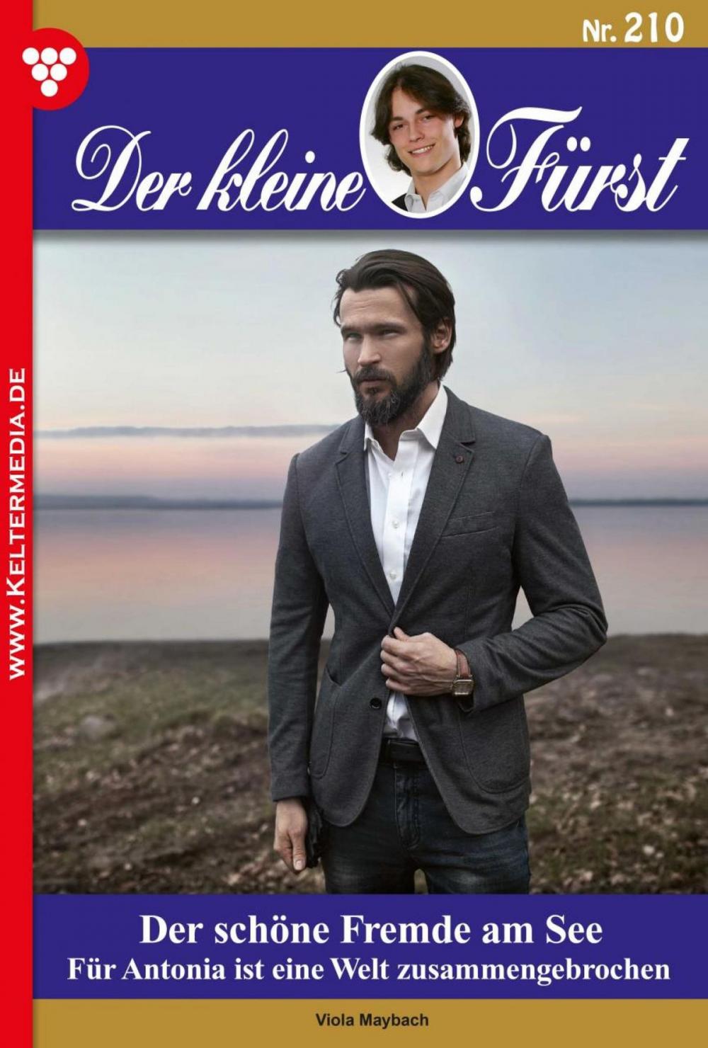 Big bigCover of Der kleine Fürst 210 – Adelsroman