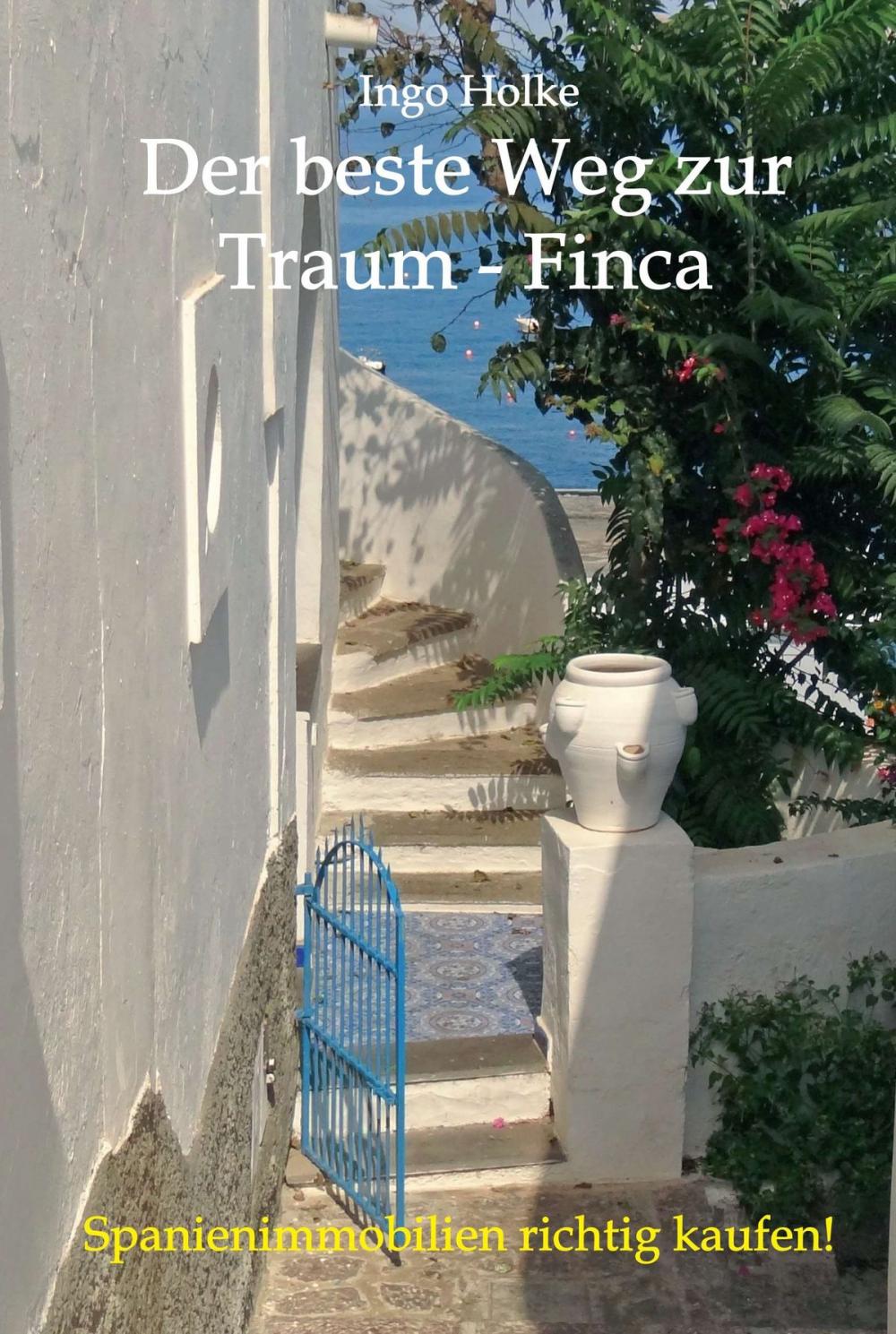 Big bigCover of Der beste Weg zur Traum-Finca