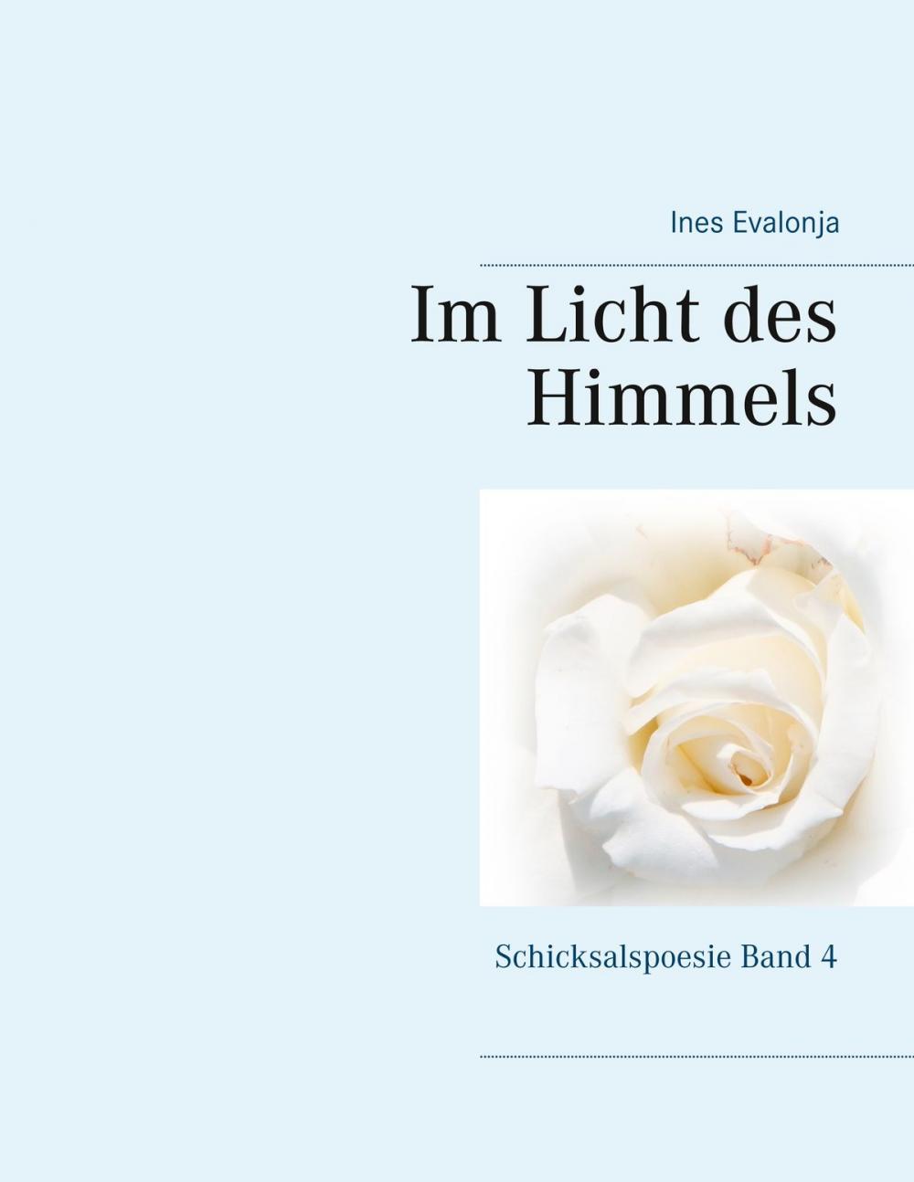 Big bigCover of Im Licht des Himmels