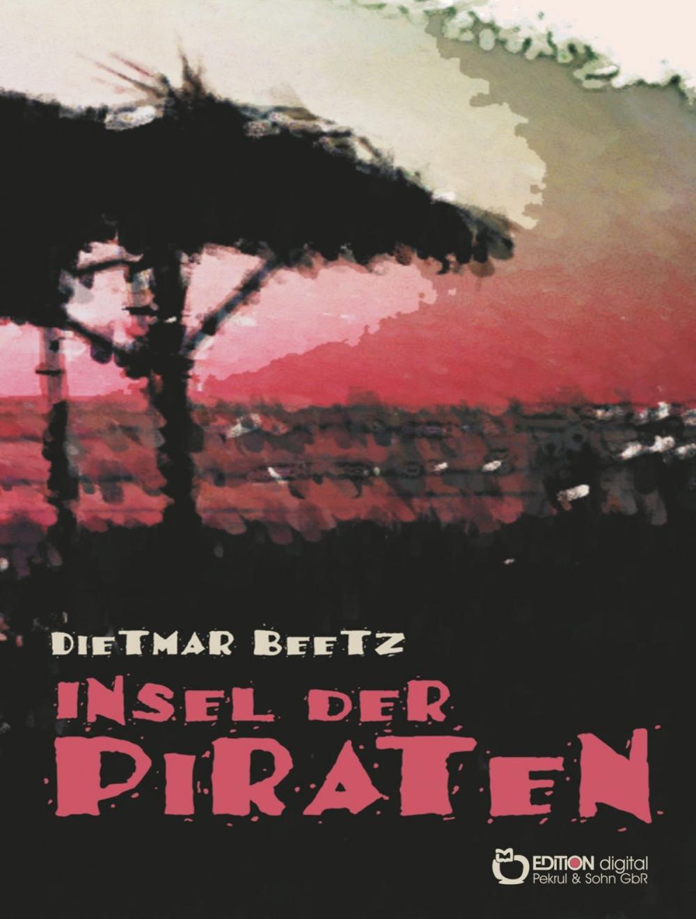 Big bigCover of Insel der Piraten