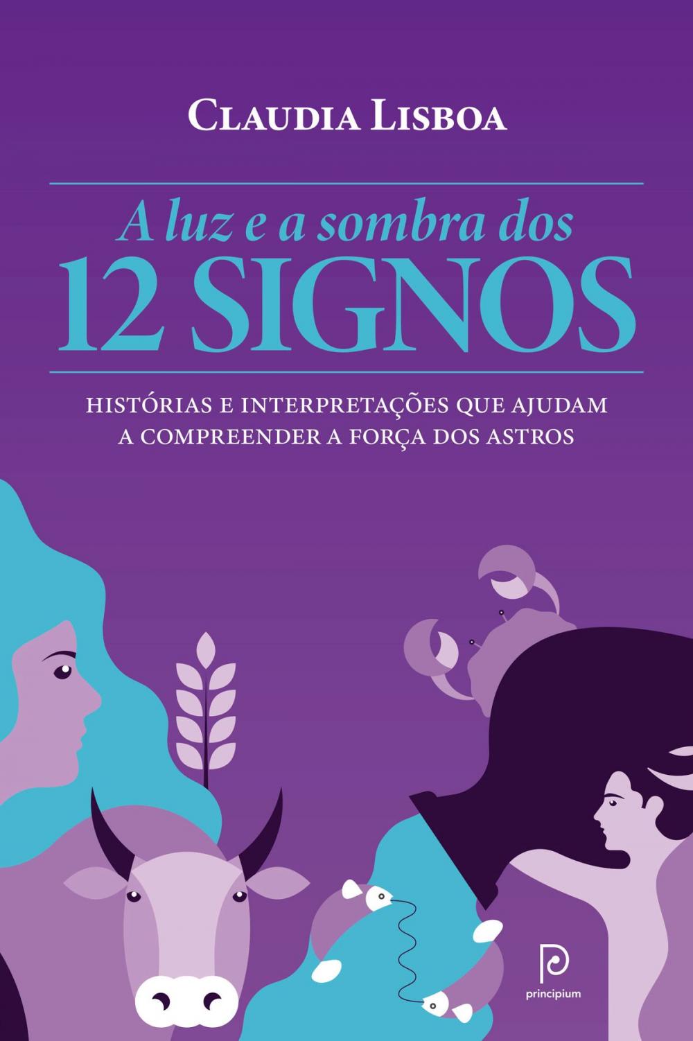 Big bigCover of A luz e a sombra dos 12 signos